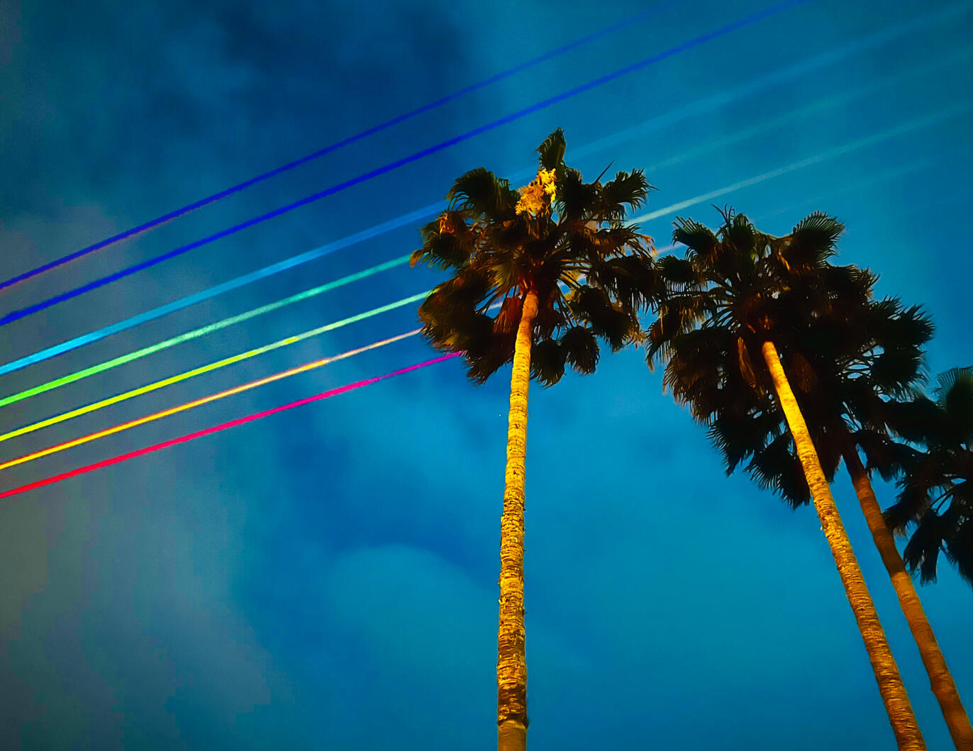 venice beach canals california palm trees lasers pride los angeles rainbow sleep demon photography dopamine art