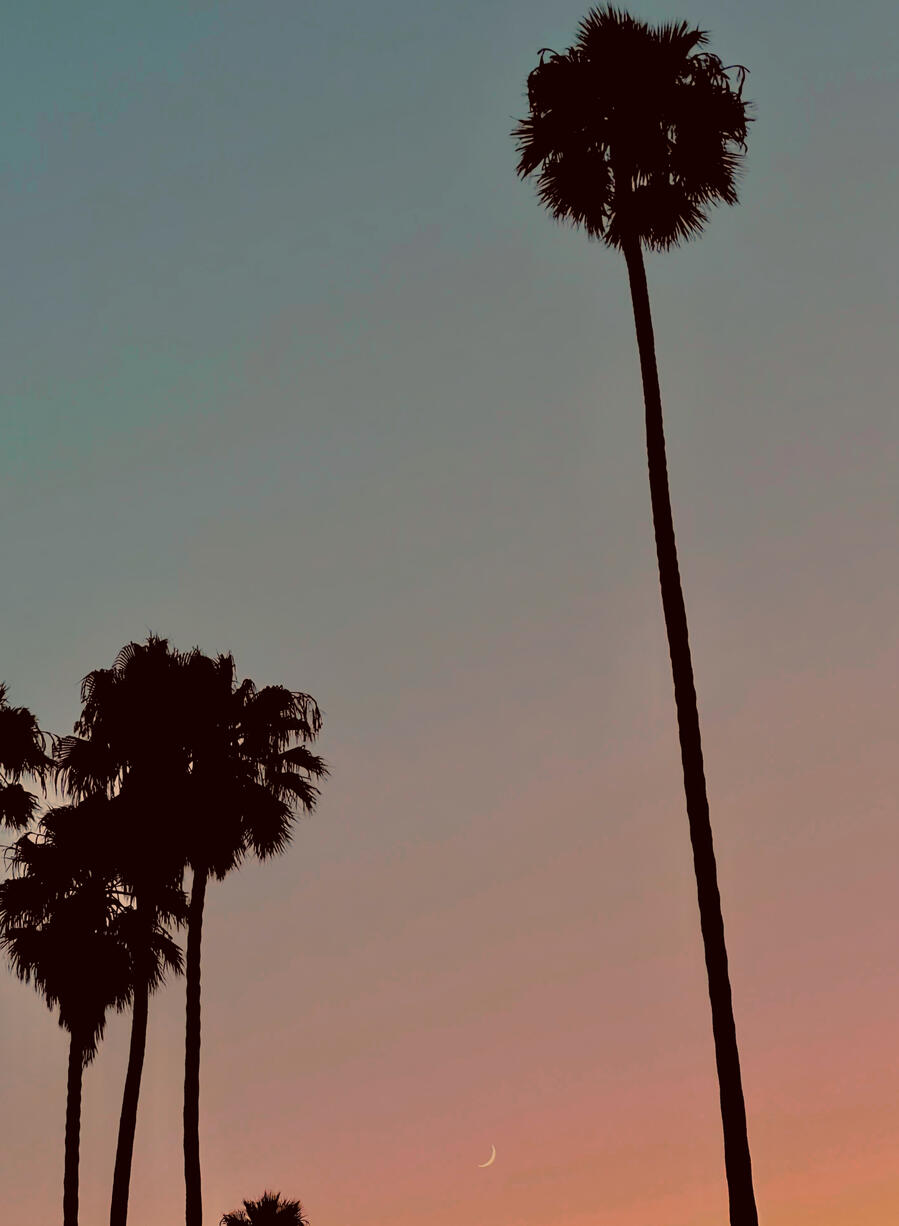 santa monica palms moonrise los angeles california green and red sky sleep demon photography dopamine art