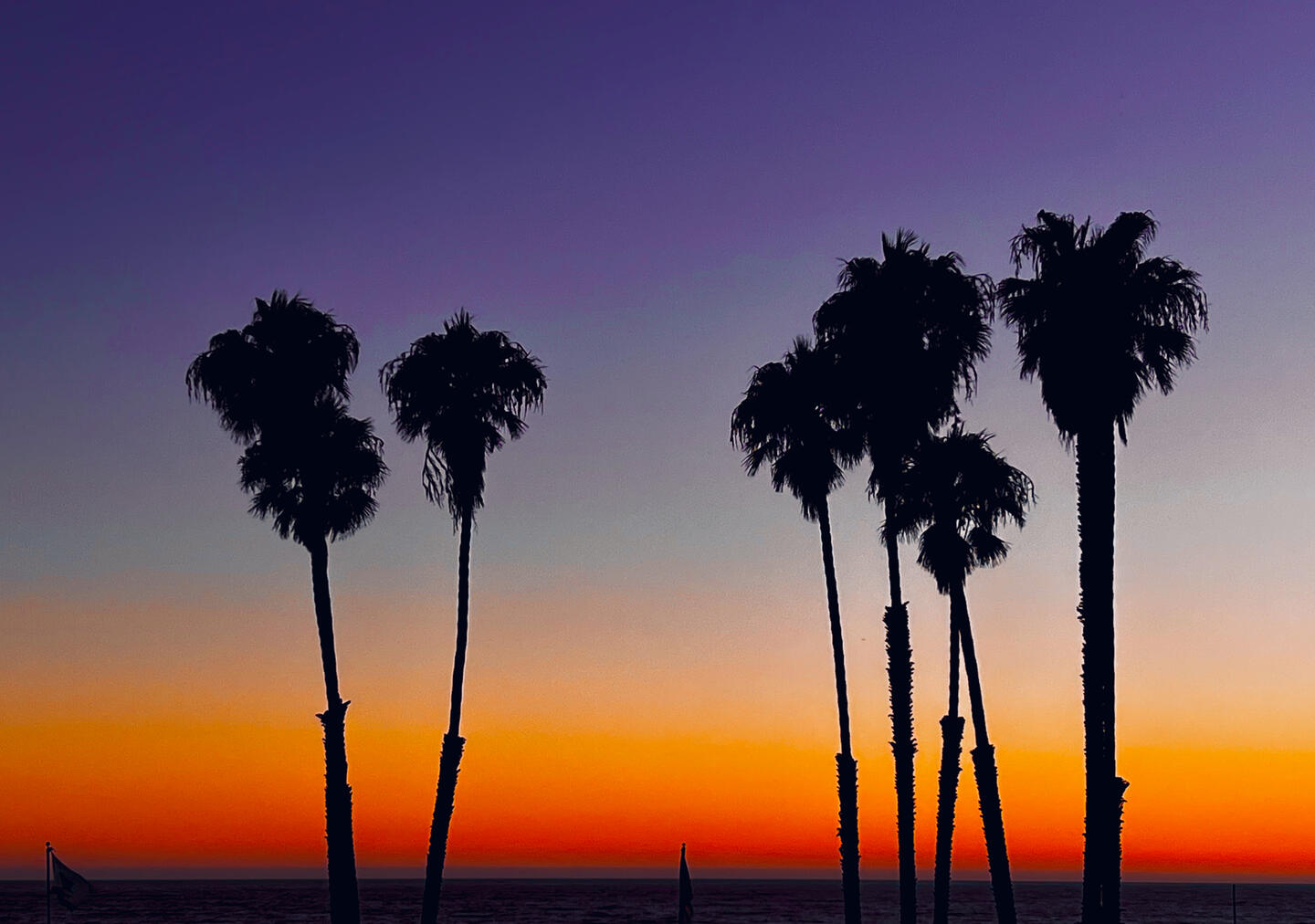 santa monica palms sunset los angeles california purple and orange sunset sleep demon photography dopamine art