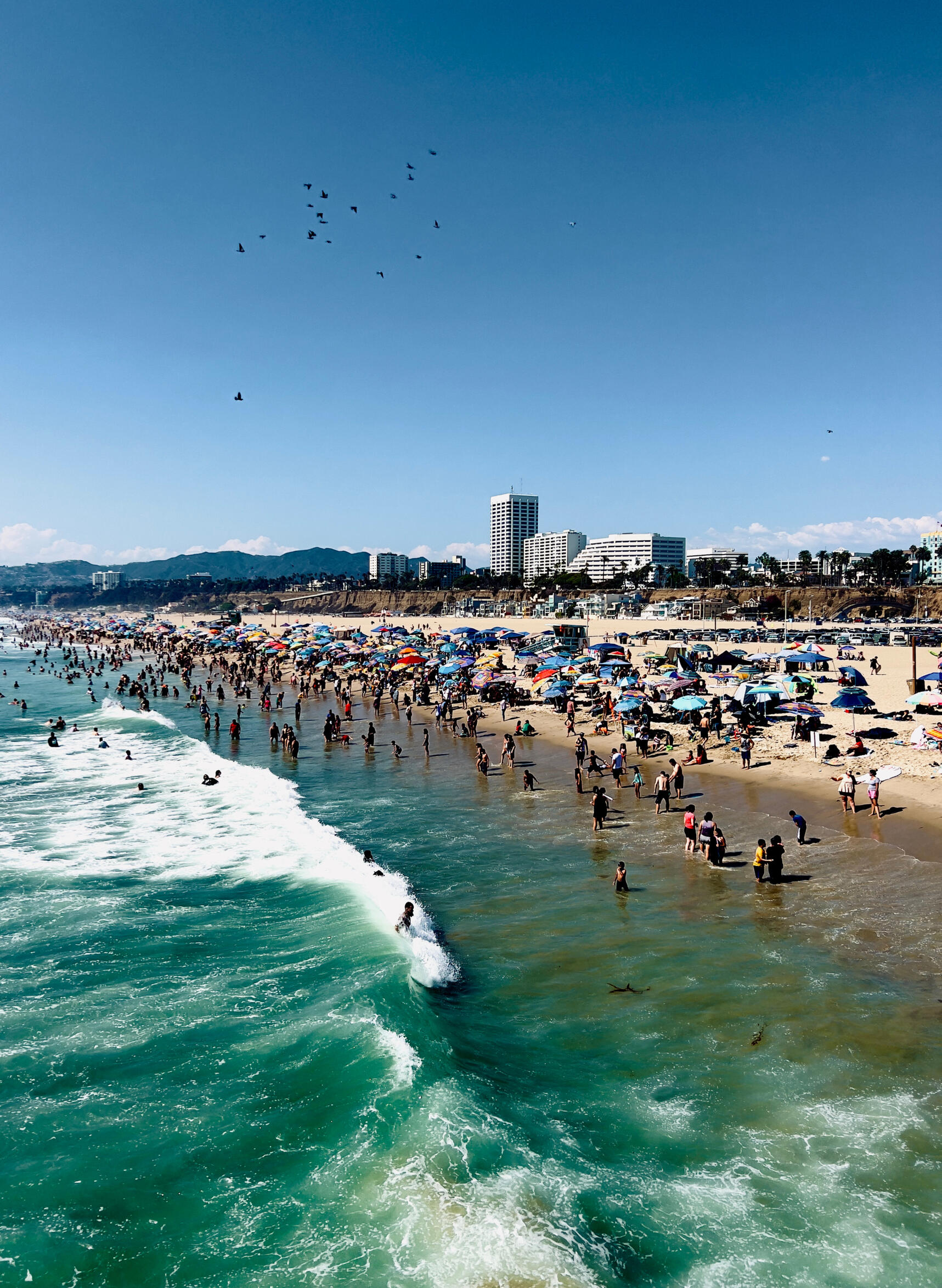 santa monica beach pier los angeles ocean pacific ocean sleep demon photography dopamine art