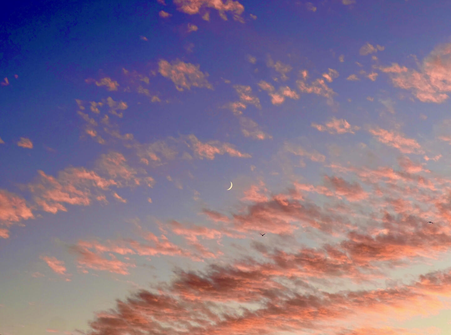 cotton candy art pink and blue sky crescent moonrise los angeles santa monica photography aerial shot sleep demon photography sleep demon photography dopamine art